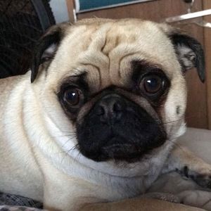 Meet your Posher, Michele